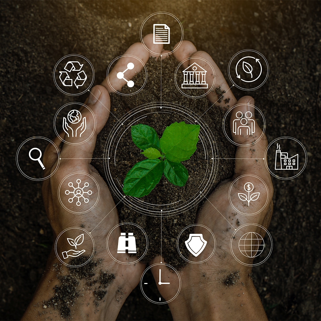 Environmental Sustainability