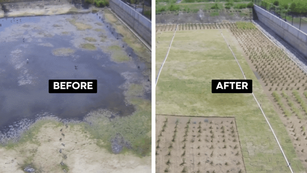 before and after water quality pond maintenance amazing transformation of an Austin, TX stormwater quality pond by BPI Partners Inc