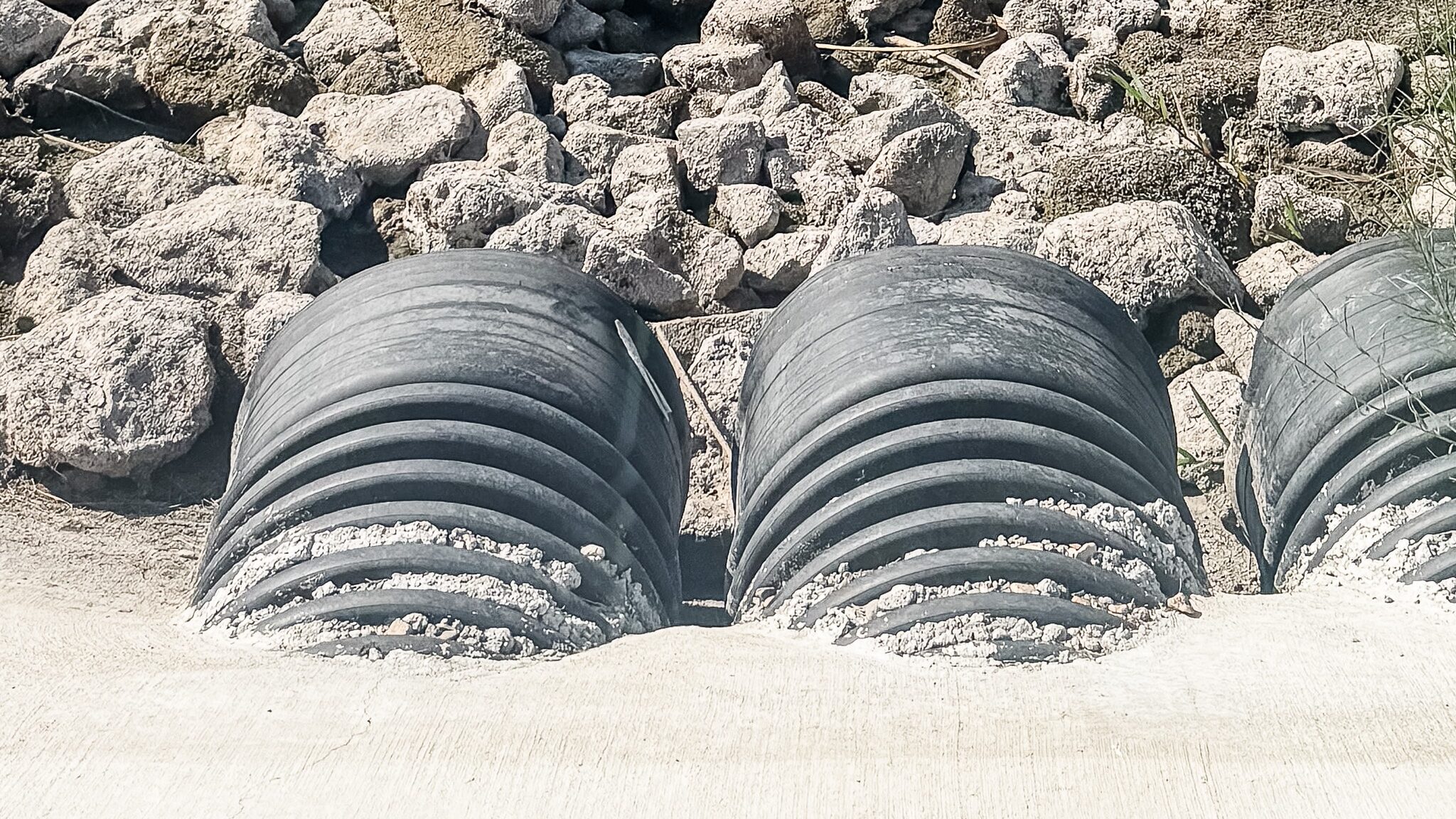 eroded stream channel with dense invasive growth prior to BPI Partners’ riparian mitigation work in Austin TX.